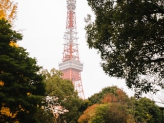 Whimsy Soul - Japan Trip tokyo-306